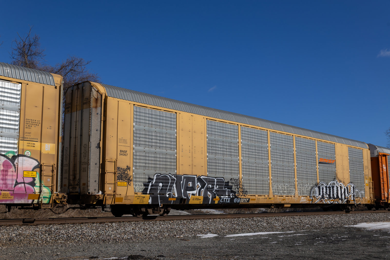 CTTX 690217