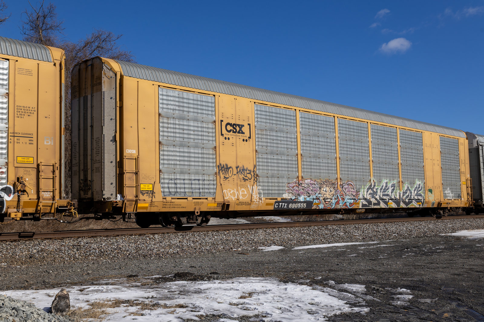 CTTX 690555