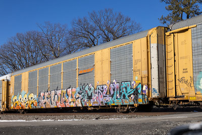 CTTX 691334