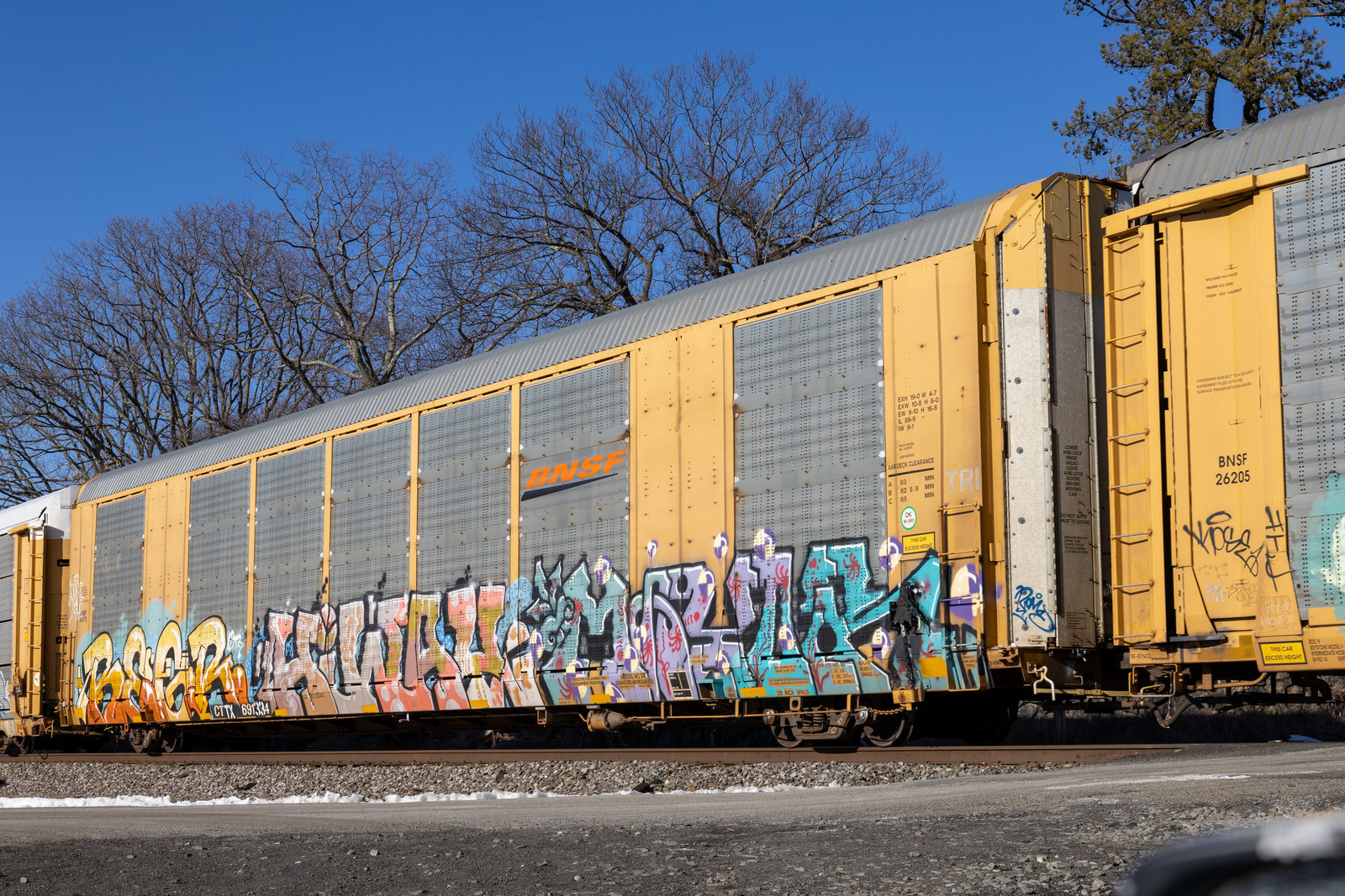 CTTX 691334