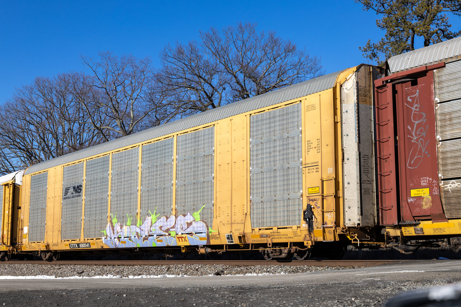 CTTX 690541