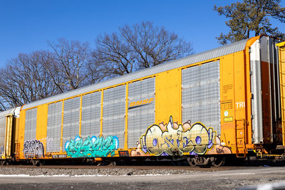 CTTX 695024