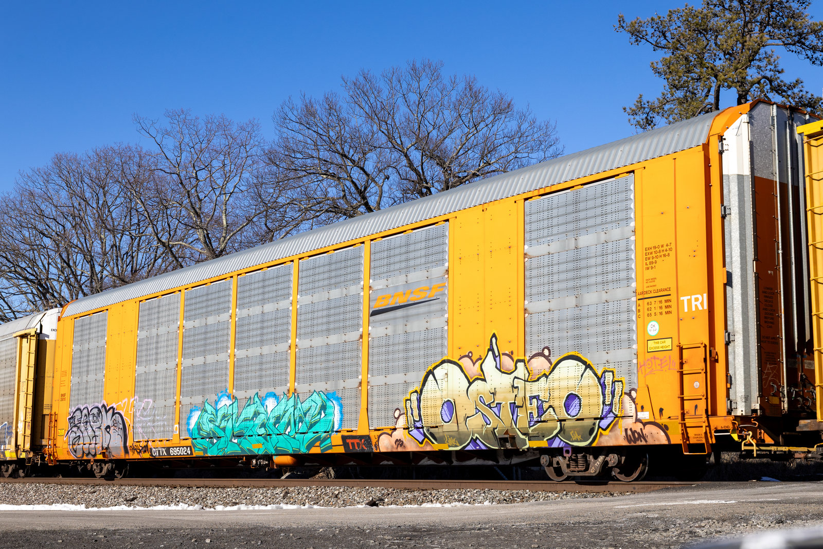 CTTX 695024