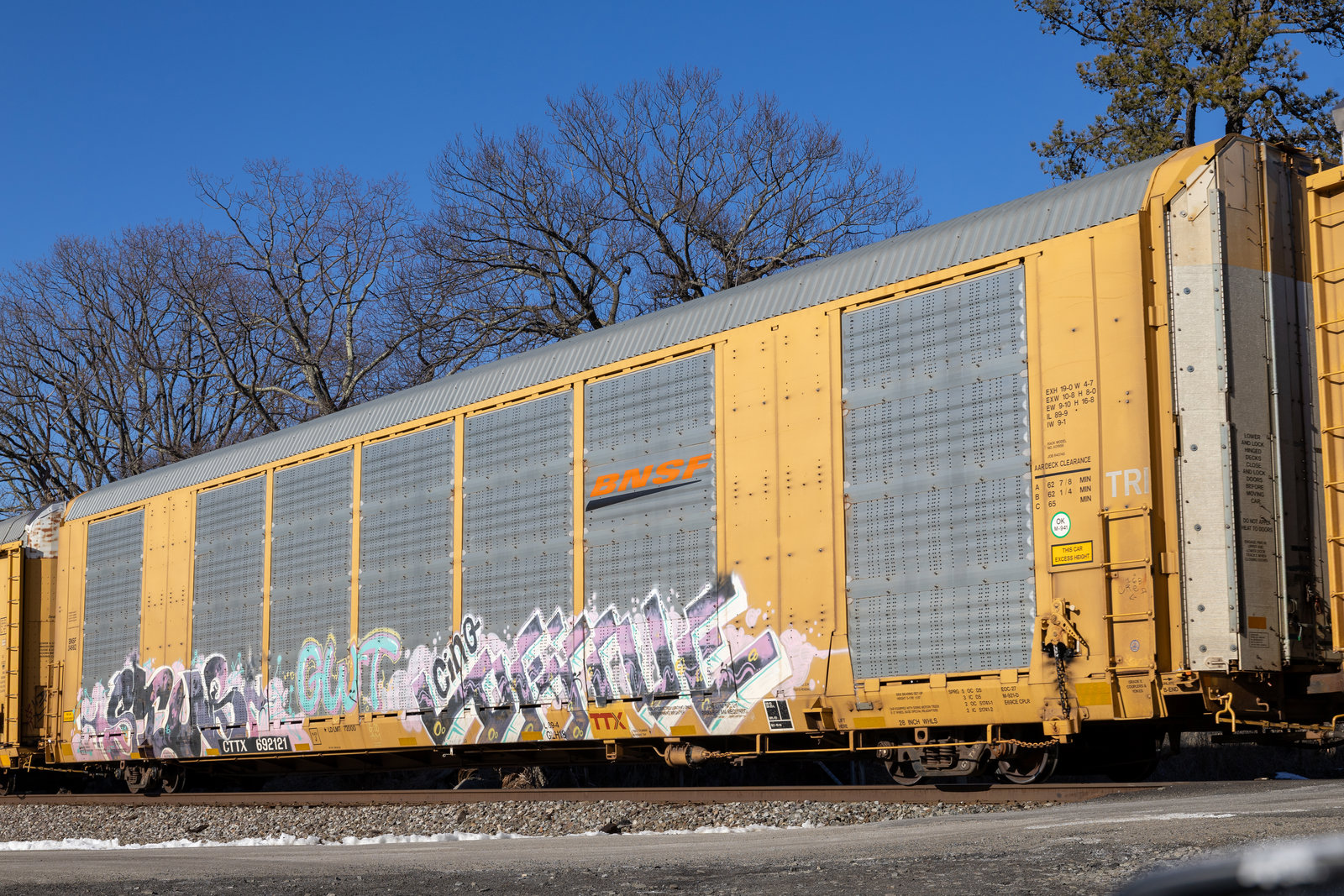 CTTX 692121