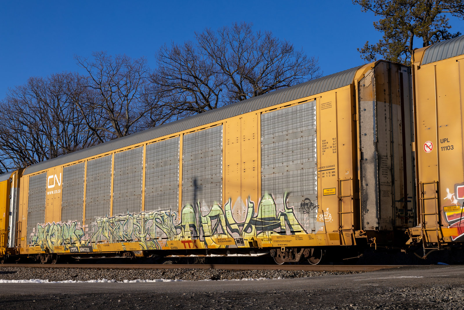 CTTX 690733