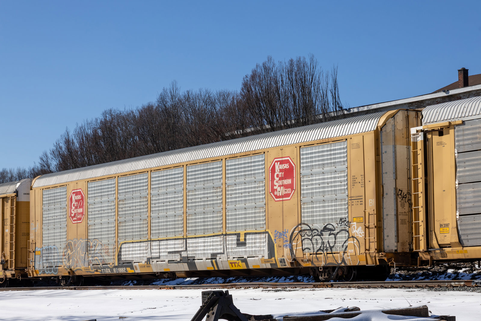 TTGX 691882