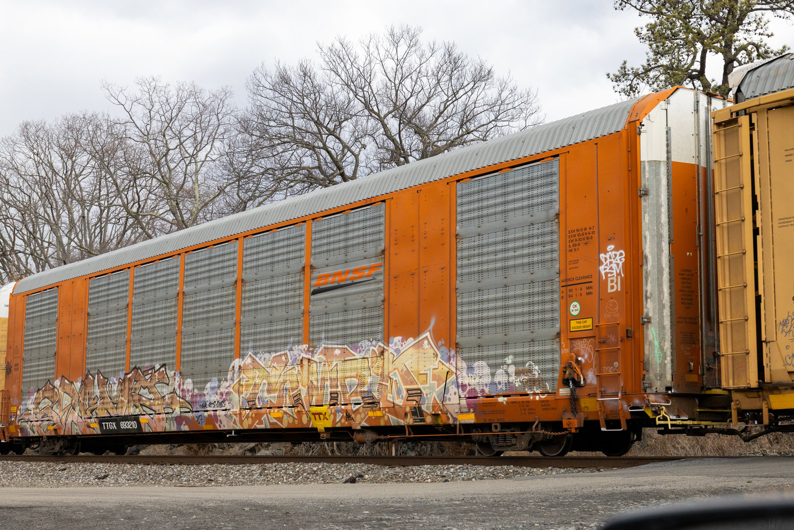 TTGX 693210