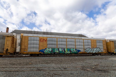 TTGX 696741