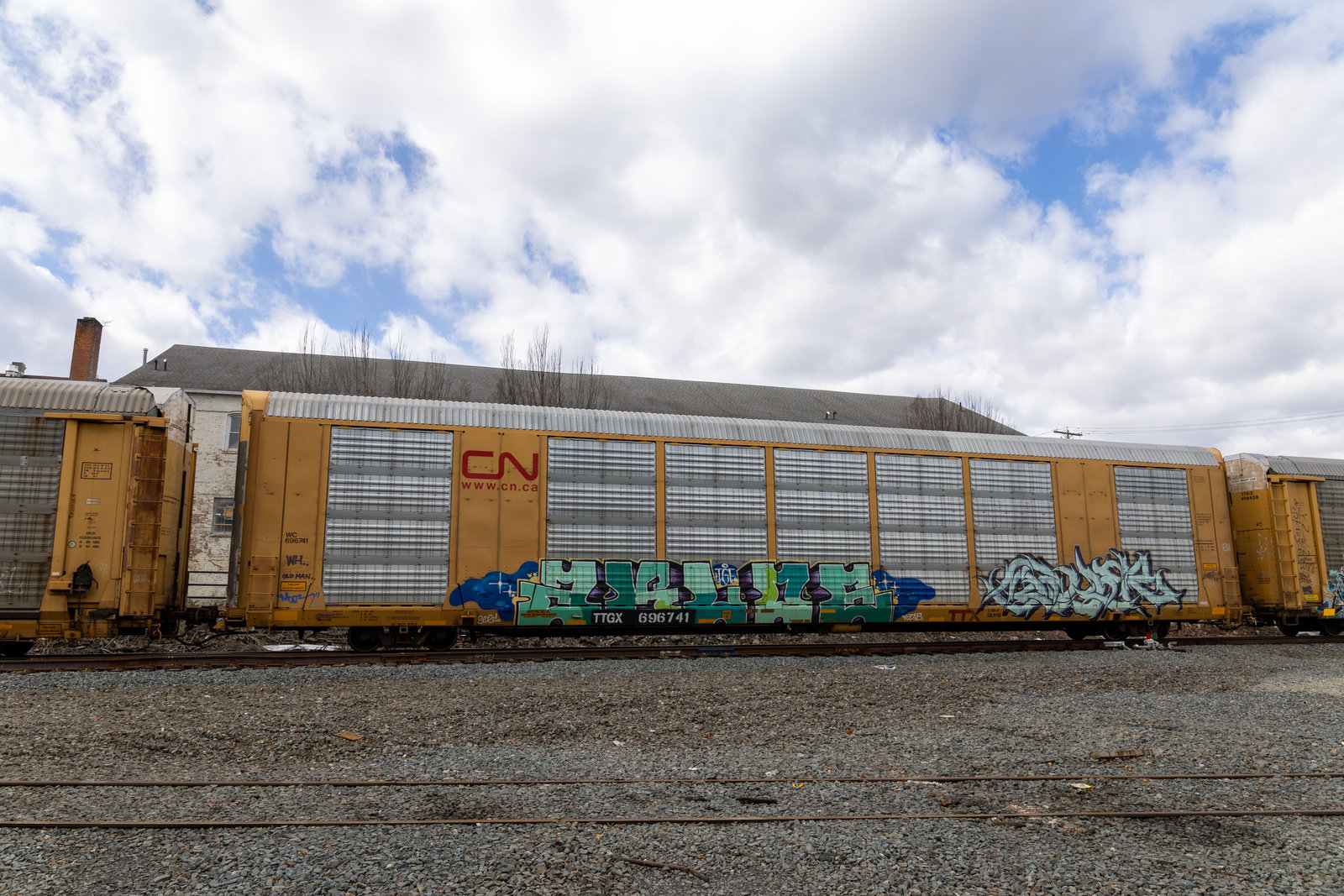 TTGX 696741