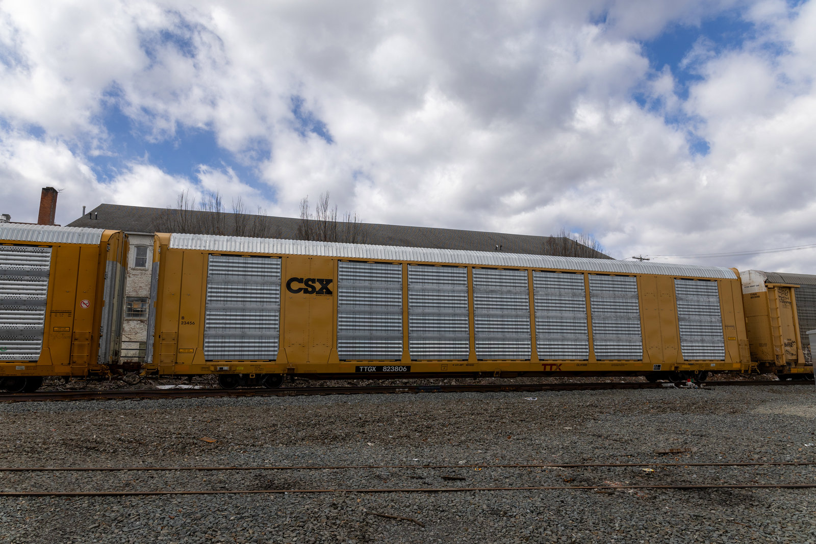 TTGX 823806