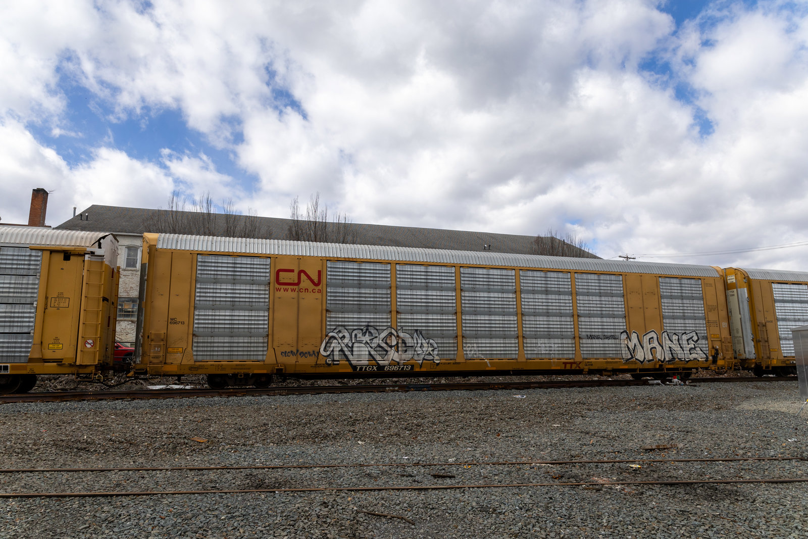 TTGX 696713