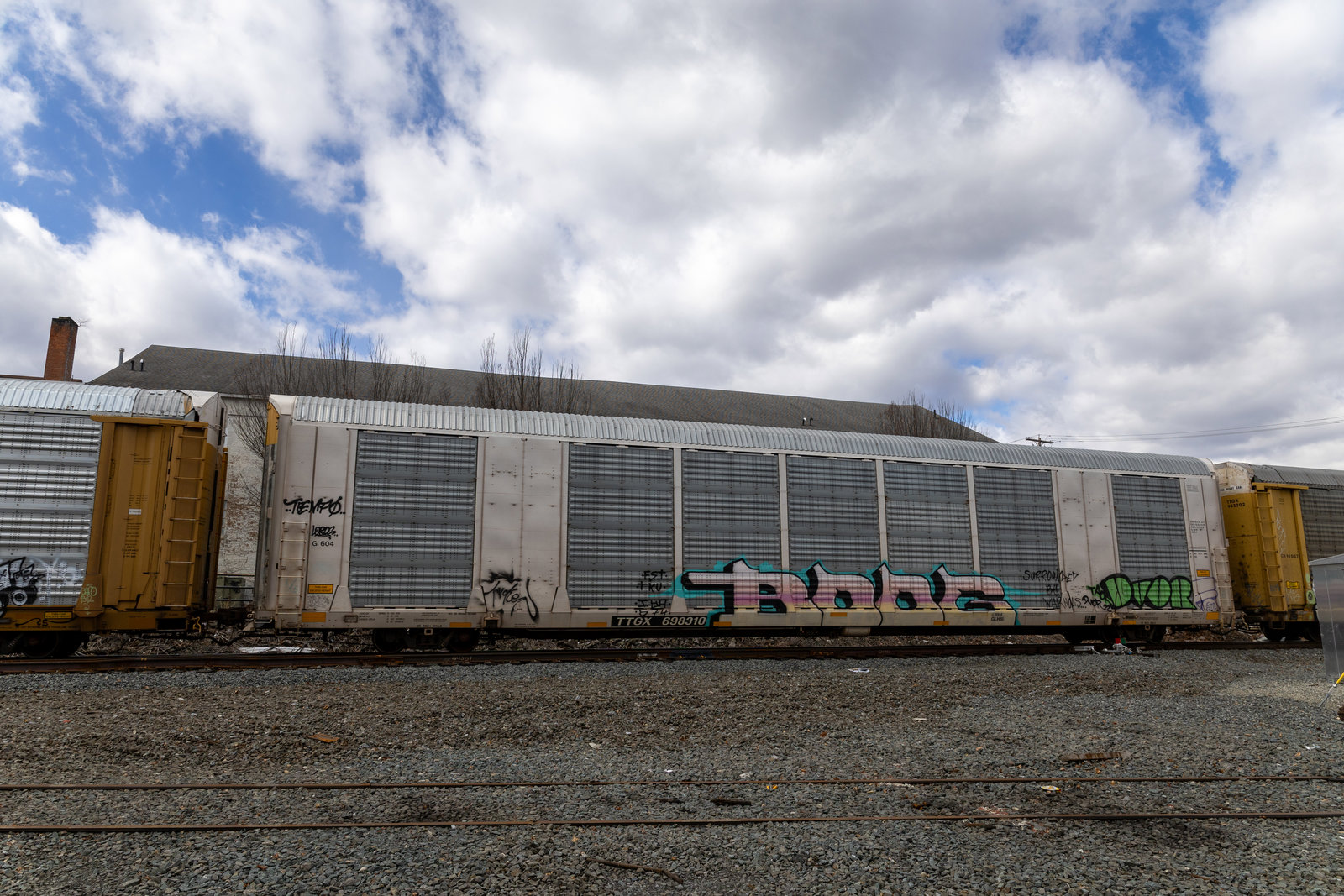 TTGX 698310