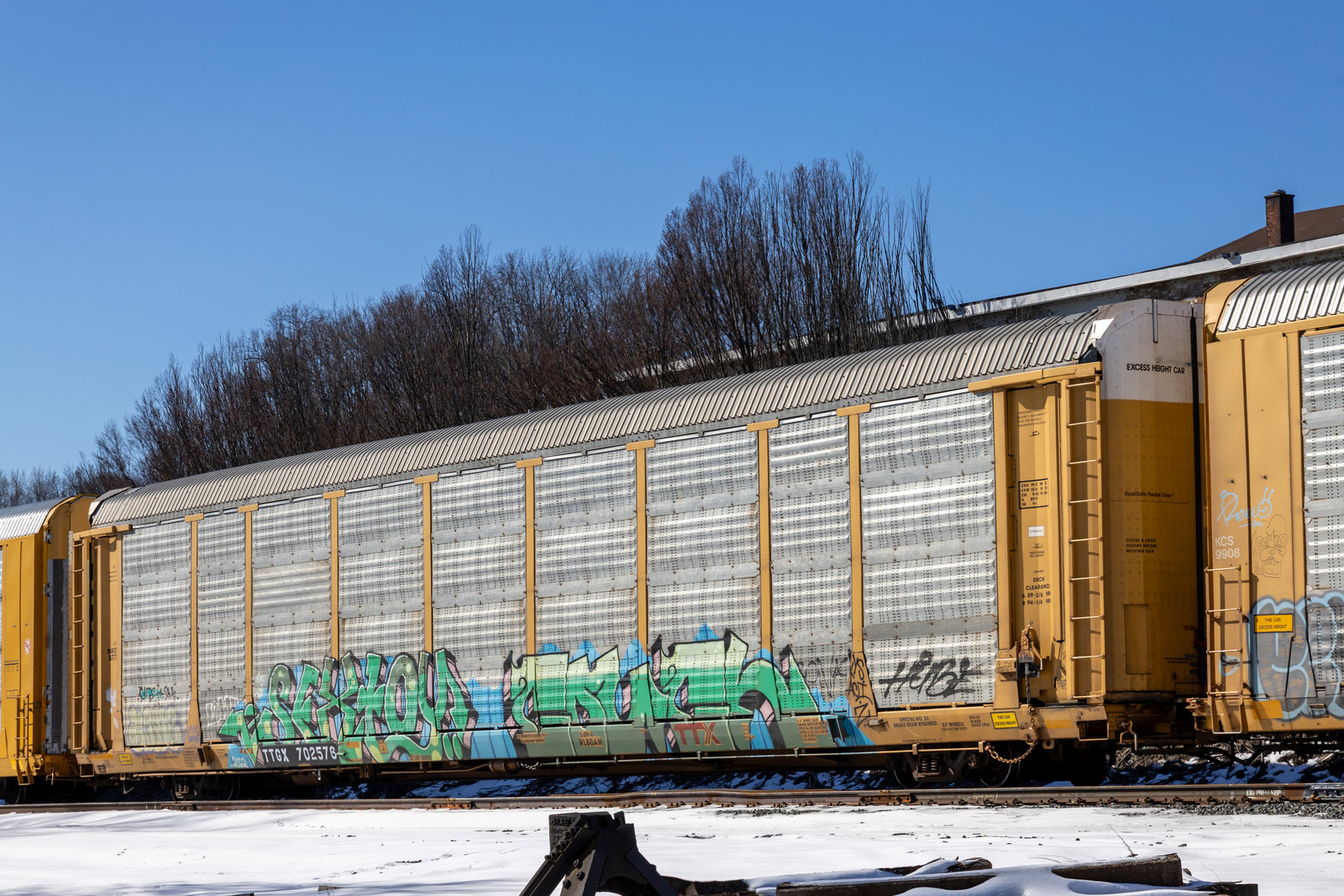 TTGX 702576