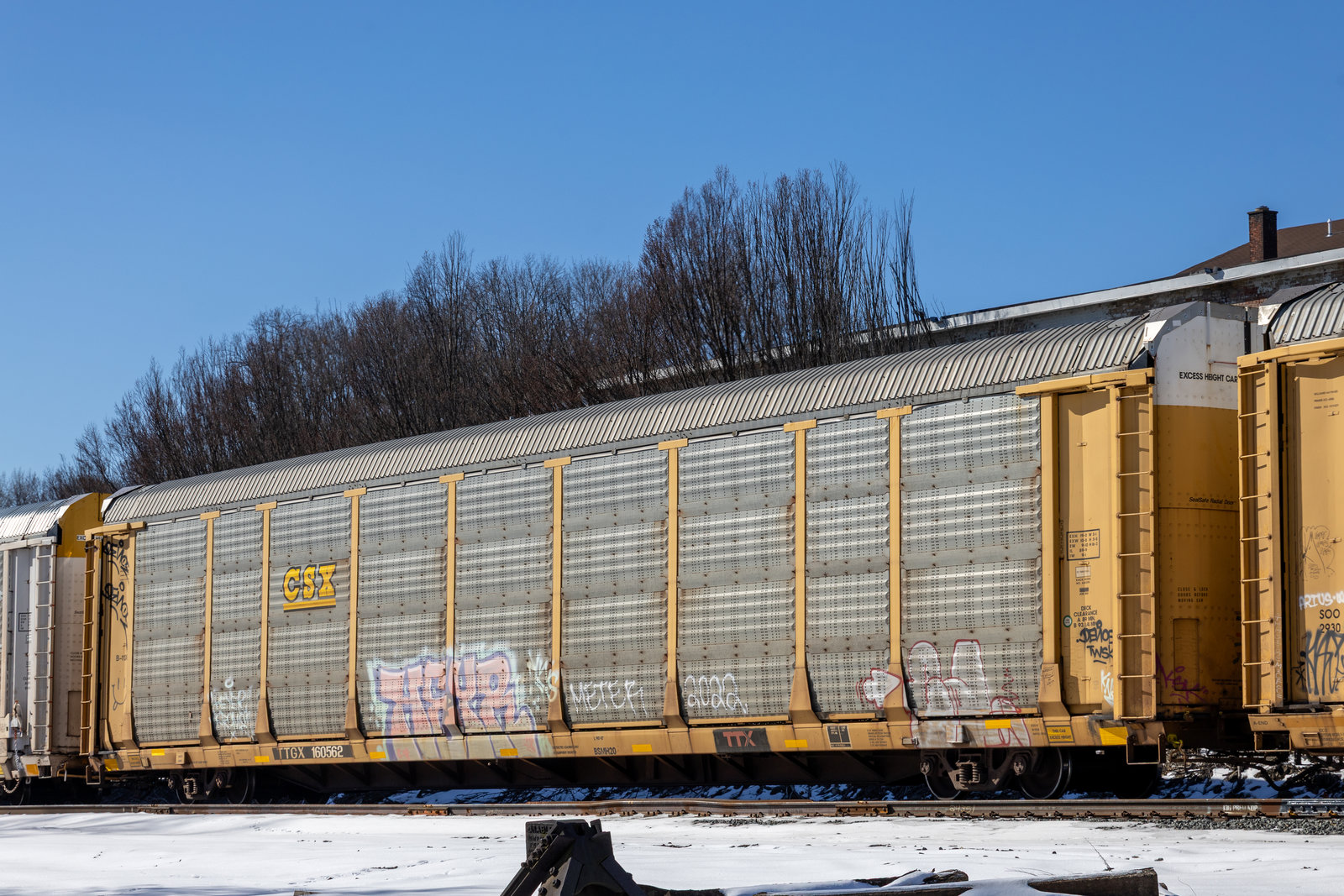 TTGX 160562