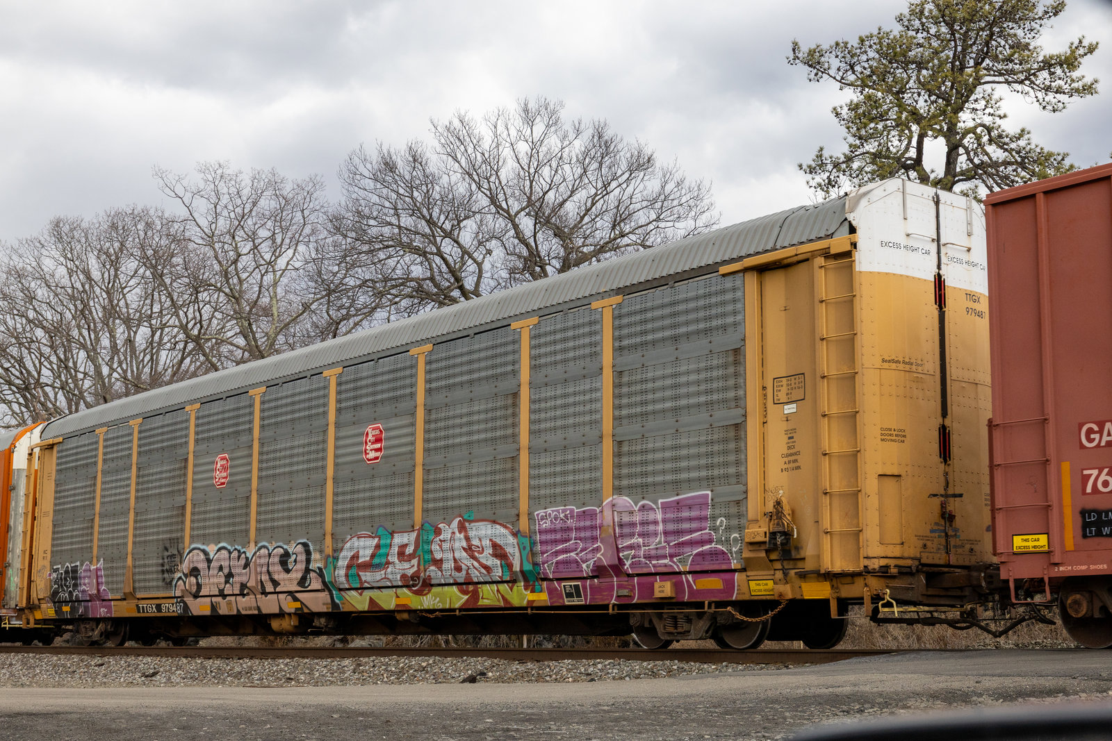 TTGX 979487