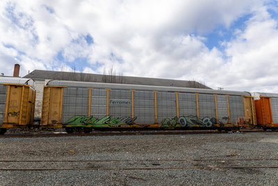 TTGX 842438