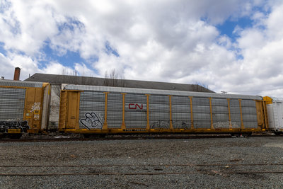 TTGX 706351