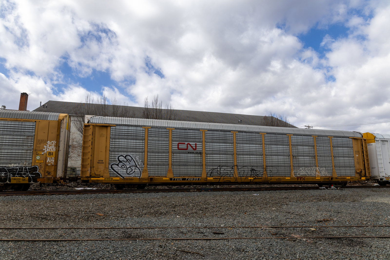 TTGX 706351