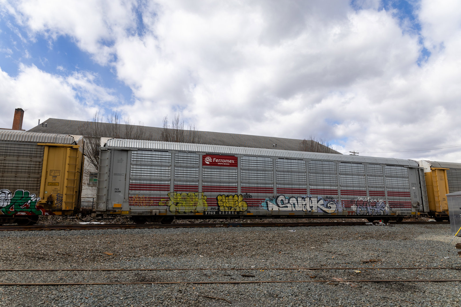 TTGX 953856