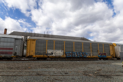TTGX 711891