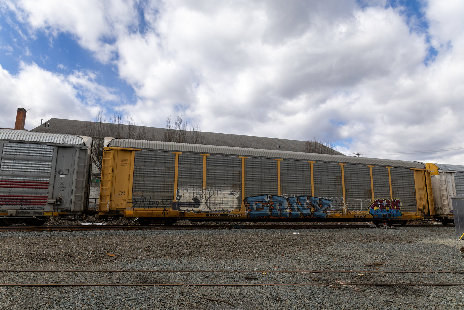 TTGX 711891