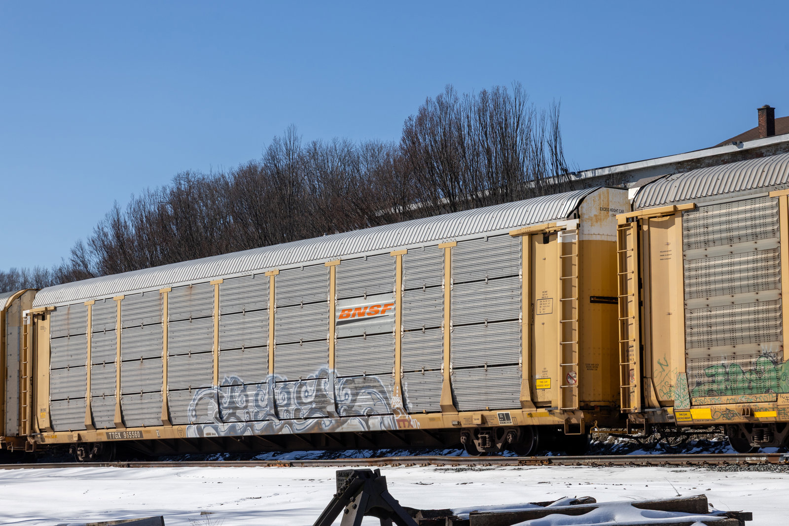 TTGX 965560