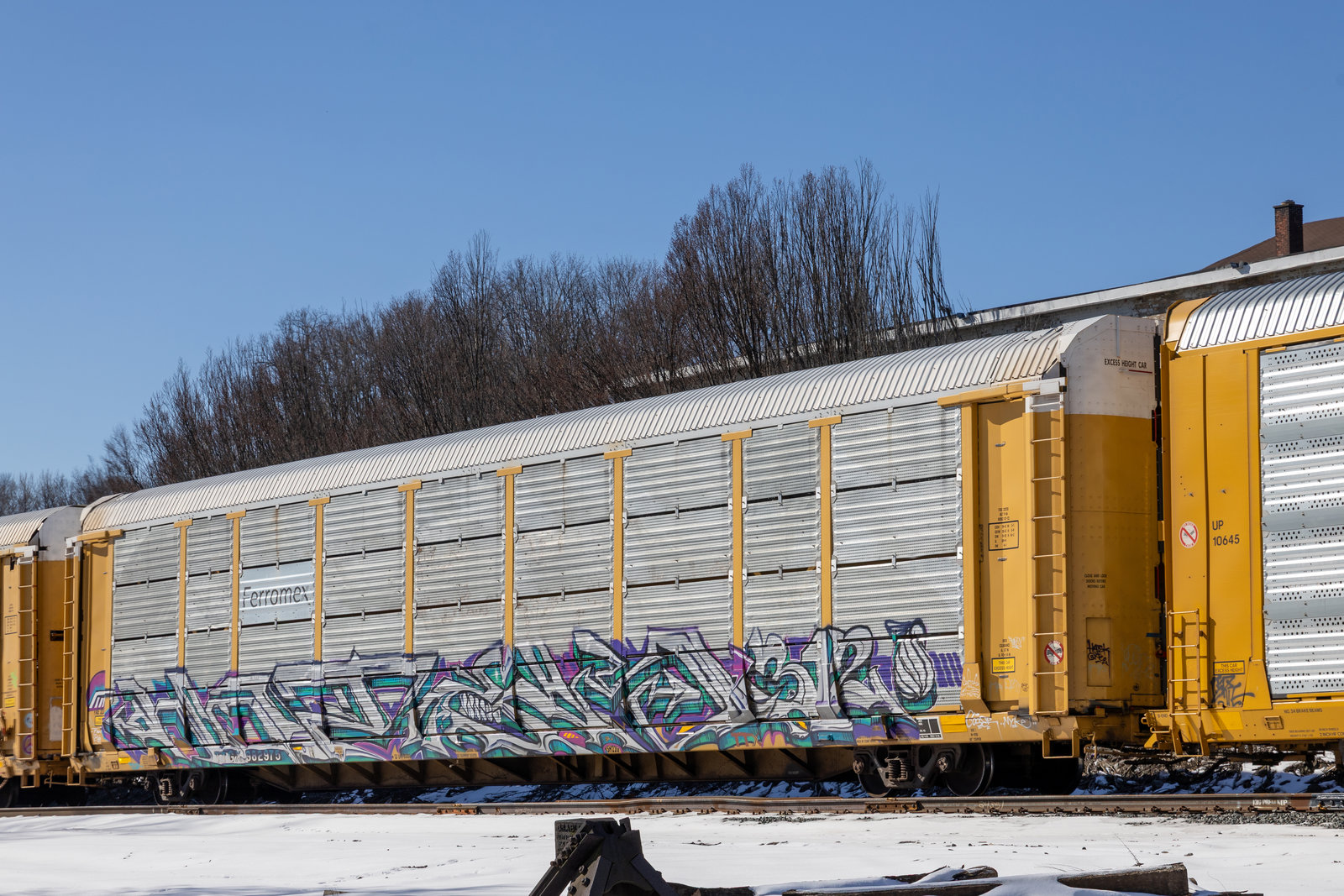 TTGX 982975