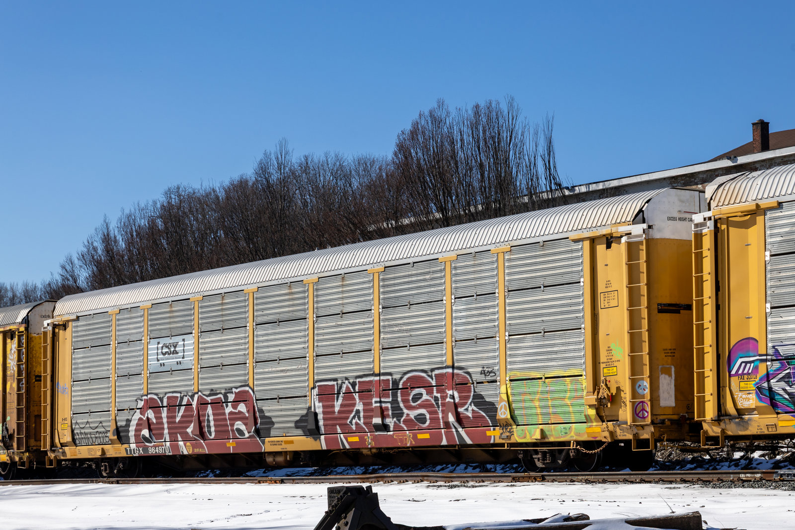 TTGX 964970