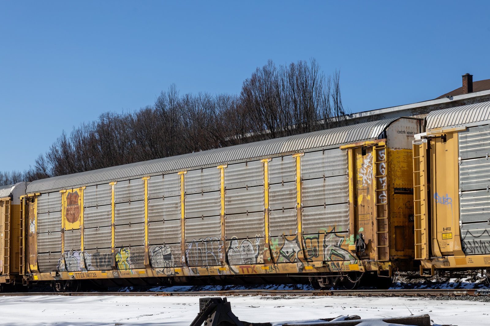TTGX 941738
