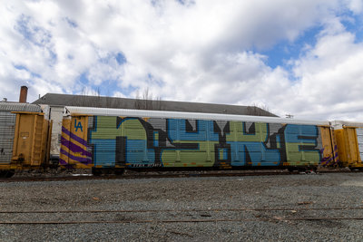 TTGX 973873