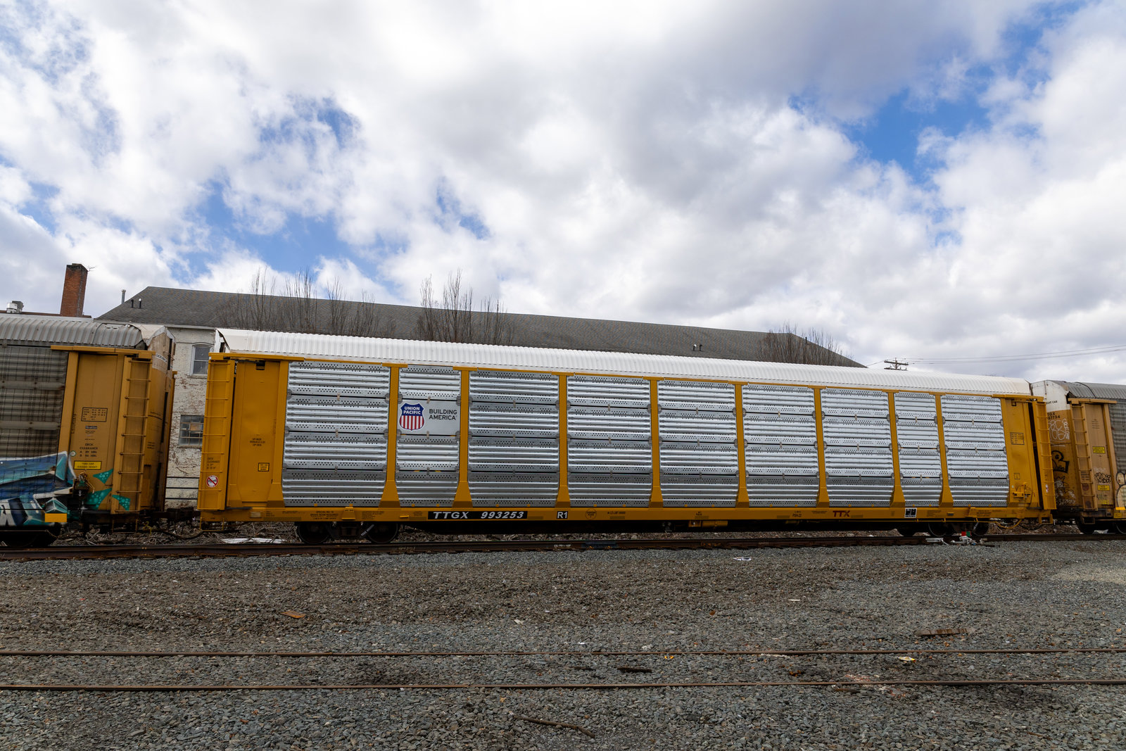 TTGX 993253