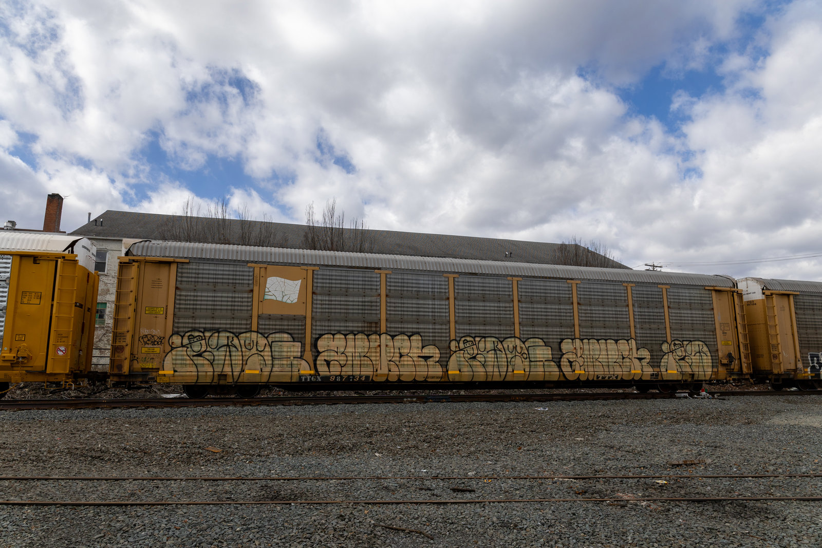 TTGX 987734