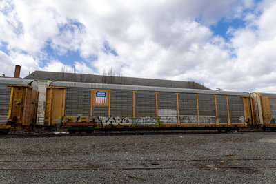 TTGX 985093