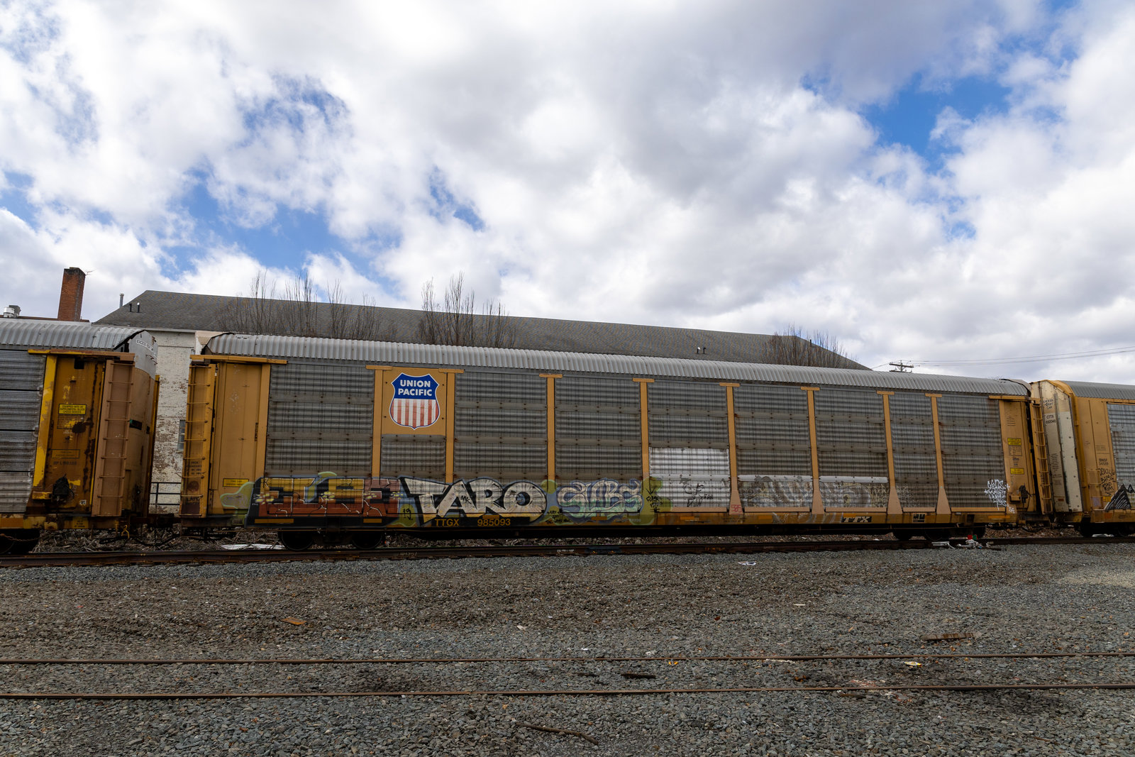 TTGX 985093