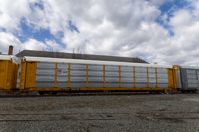 TTGX 980156