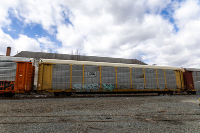 TTGX 973663