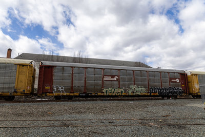 TTGX 978593