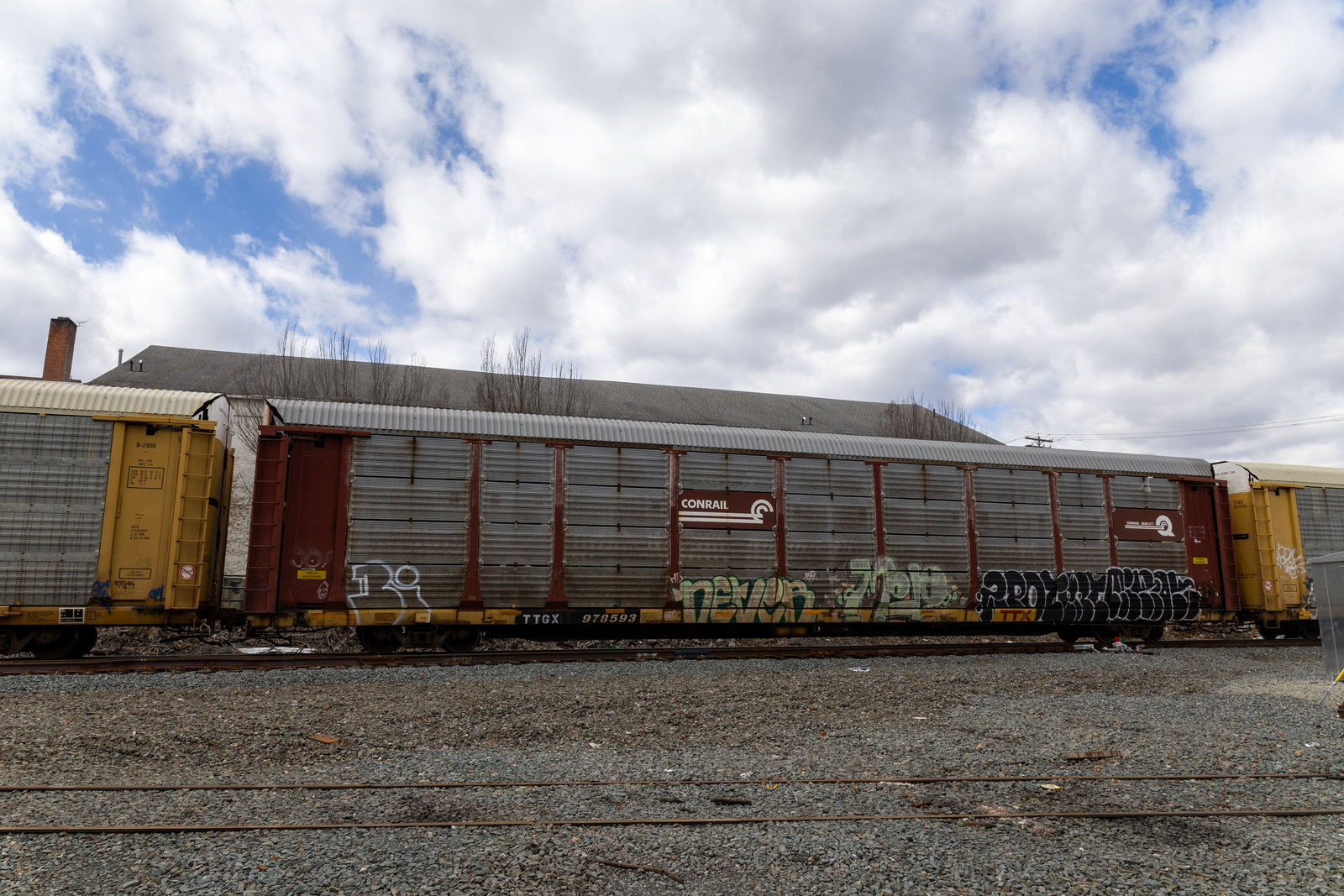 TTGX 978593