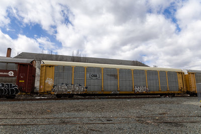 TTGX 971256