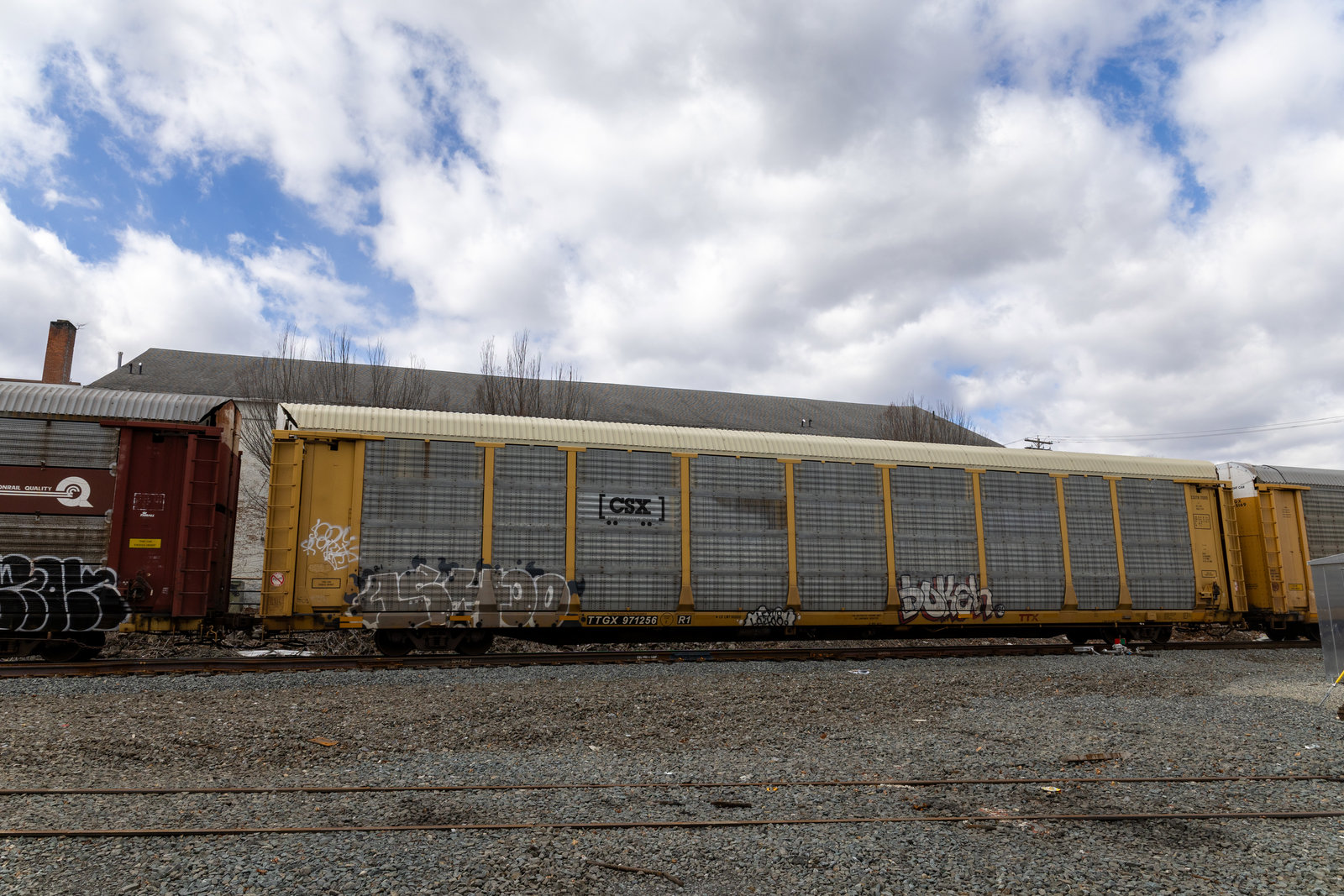 TTGX 971256