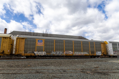TTGX 995169