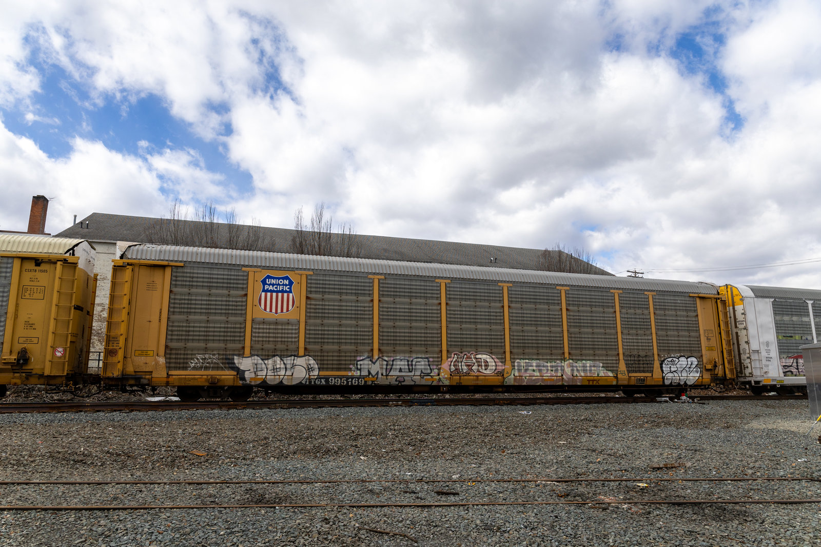 TTGX 995169