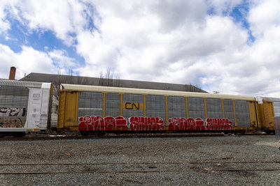TTGX 981083