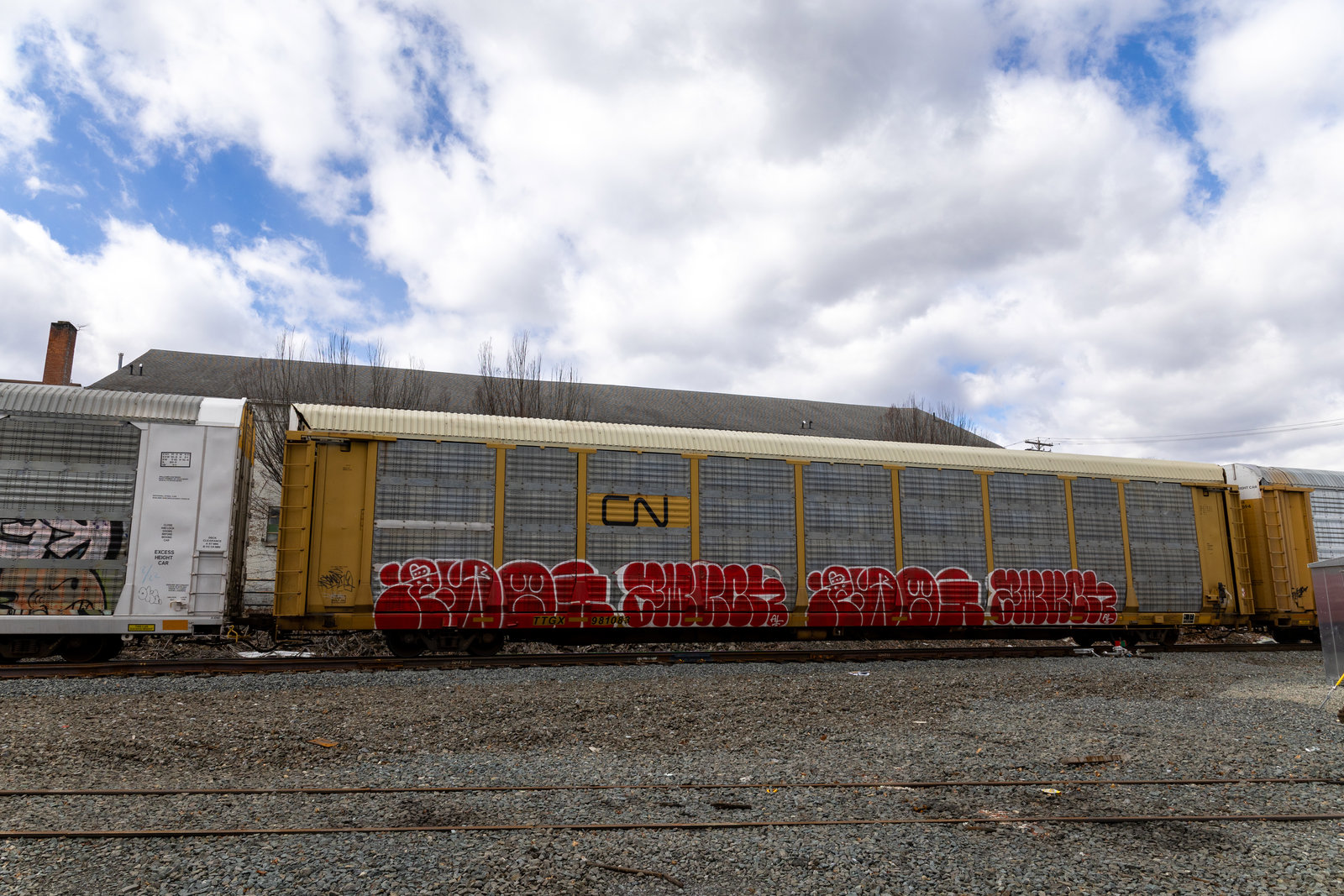TTGX 981083
