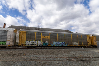 TTGX 983302