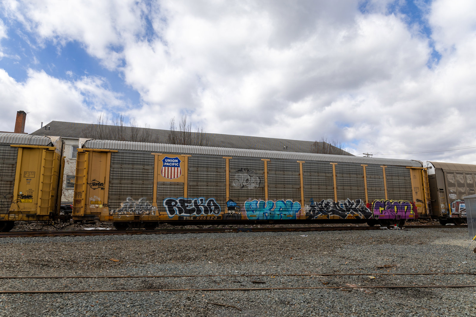TTGX 986623