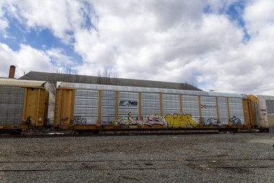 TTGX 708594