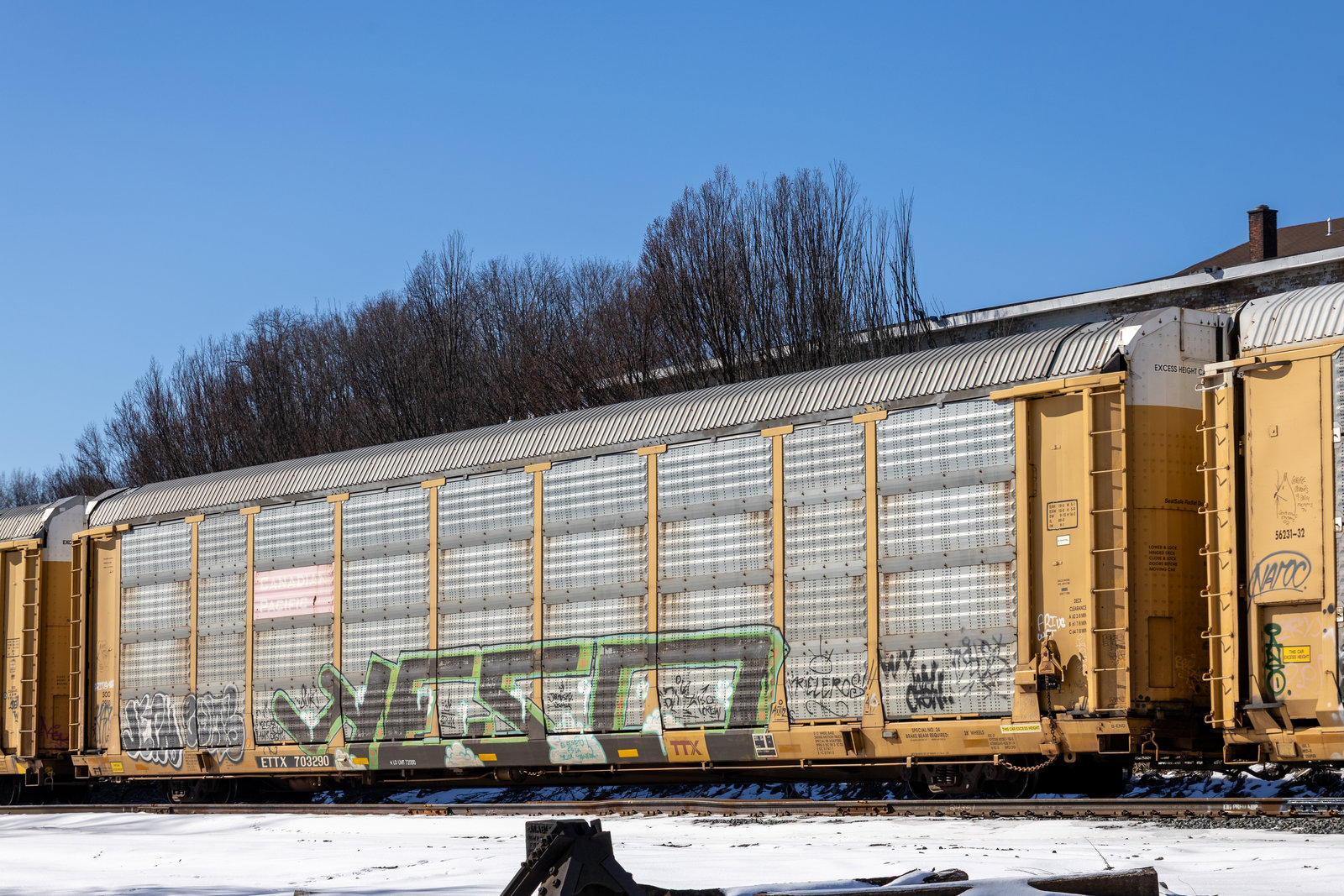 ETTX 703290