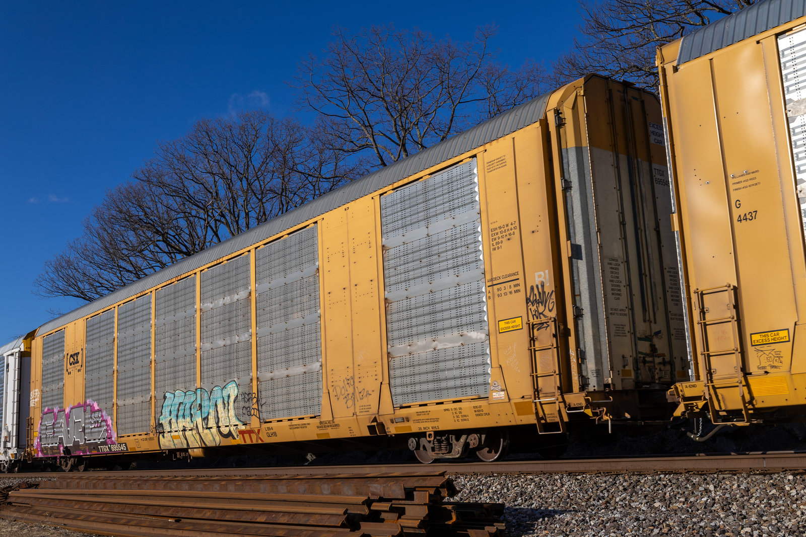 TTGX 695545