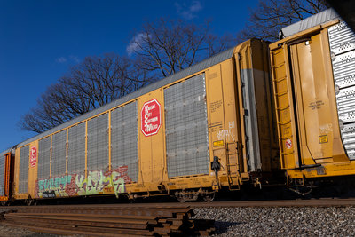 TTGX 695279